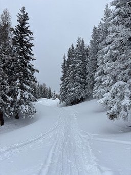 Bon plan mauvais temps &agrave; Bruson 