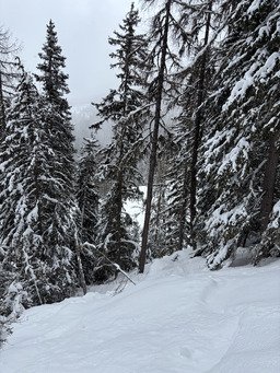 Bon plan mauvais temps &agrave; Bruson 