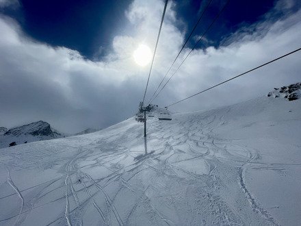 cruising en for&ecirc;t