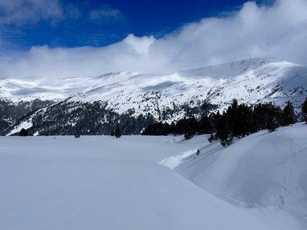 cruising en for&ecirc;t