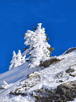 Printanier avec de belles conditions de ski