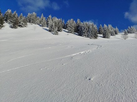 Rando au soleil couchant 