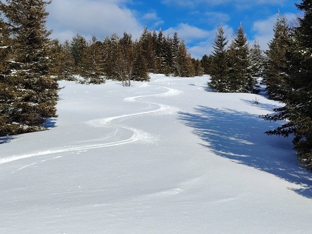 Derni&egrave;re rando en local 