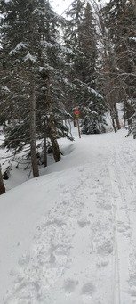 L'hiver au printemps 