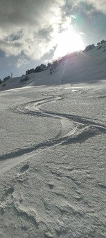 L'hiver au printemps 