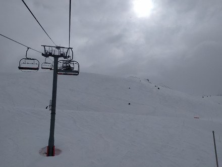 Des Sapins &agrave; d&eacute;faut de Punta Bagna