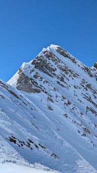 Le meilleur des deux mondes
