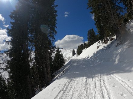 Quand les stations ferment, les randonneurs dancent