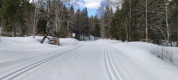 Encore tr&egrave;s correct en classique 