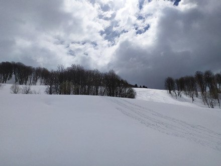 c est la greve? lets go ski?