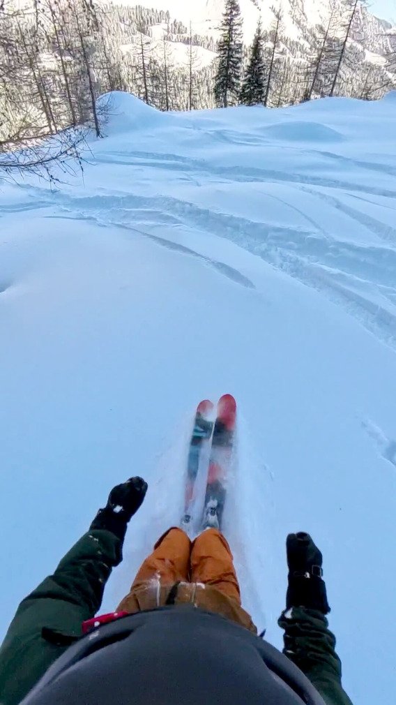 Le vent nous a fait un poisson d'Avril