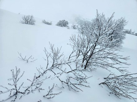 Av&eacute; Janvril !