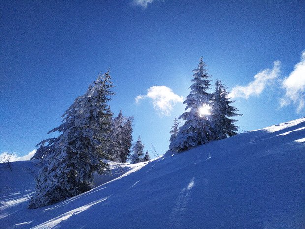 il y a des jours o&ugrave; le r&ecirc;ve est la r&eacute;alit&eacute;