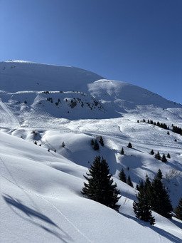 Tr&egrave;s belle fin de saison !