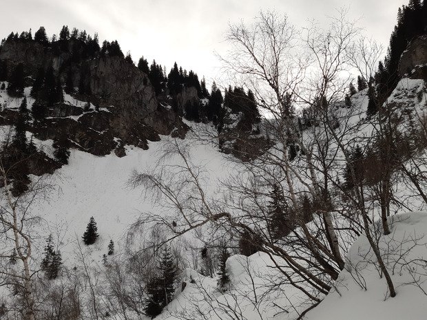 Triplette Haute Pointe - Chavasse - Chalune