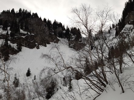 Triplette Haute Pointe - Chavasse - Chalune