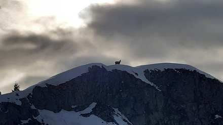 Triplette Haute Pointe - Chavasse - Chalune