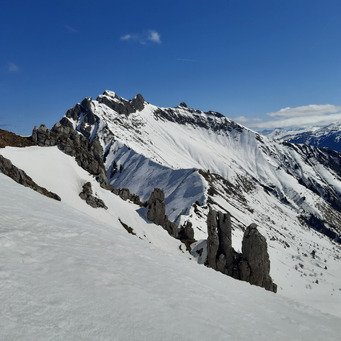 Triplette Haute Pointe - Chavasse - Chalune