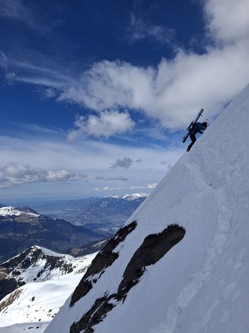Dent Jaune valid&eacute; 