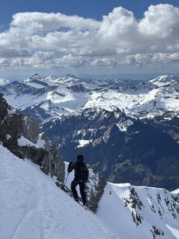 Dent Jaune valid&eacute; 