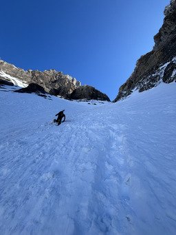 Dent Jaune valid&eacute; 