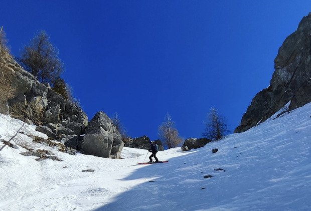 Moquette parfaite pour ce d&eacute;but avril 