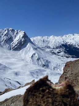 Moquette parfaite pour ce d&eacute;but avril 