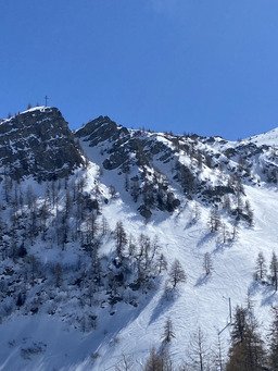 Moquette parfaite pour ce d&eacute;but avril 