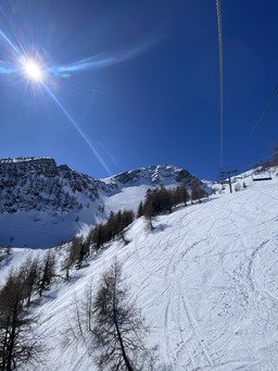 Moquette parfaite pour ce d&eacute;but avril 