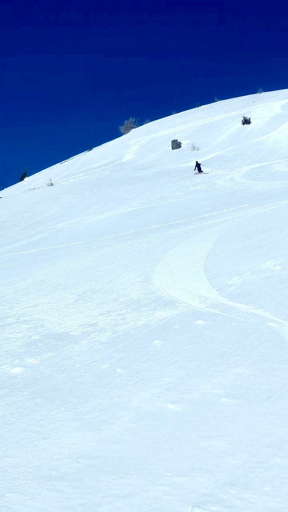 Moquette parfaite pour ce d&eacute;but avril 