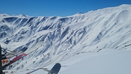 Jour 12 : C'est le printemps ! 