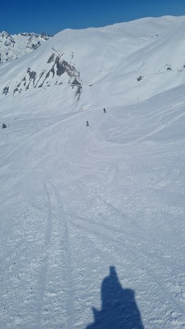 Jour 12 : C'est le printemps ! 