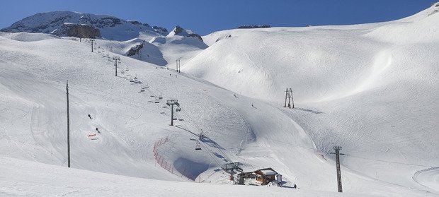 Le printemps vient juste d arriver