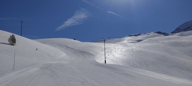 Le printemps vient juste d arriver