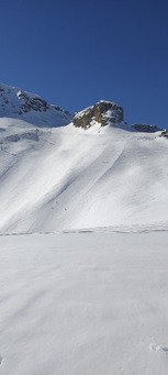 Le printemps vient juste d arriver