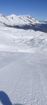 Le printemps vient juste d arriver