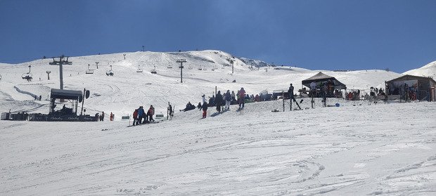 Le printemps vient juste d arriver