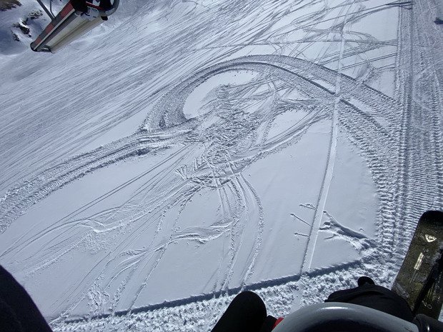 G&eacute;n&eacute;reux soleil de printemps ☀️