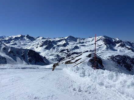 G&eacute;n&eacute;reux soleil de printemps ☀️