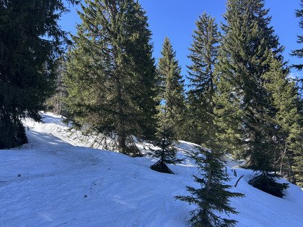 Belle journ&eacute;e ski de printemps 