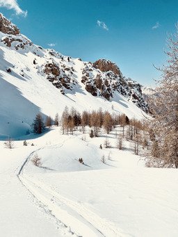 Queyras de c&oelig;ur 