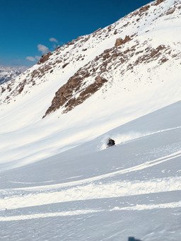 Queyras de c&oelig;ur 