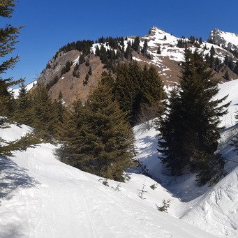 Derni&egrave;res glisses &agrave; l'Espace des Lys