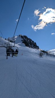 Pur plaisir printanier sous le grand'bo