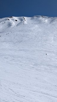 Pur plaisir printanier sous le grand'bo