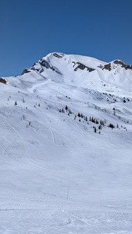 Pur plaisir printanier sous le grand'bo