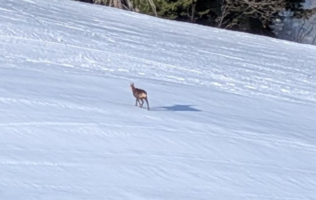 Clap de fin ici 🎬