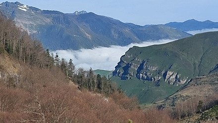 Neige saupoudr&eacute;e de sable et pollen, un r&eacute;gal 😂