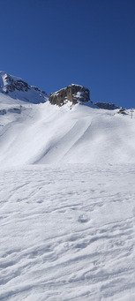 Le printemps et presque l &eacute;t&eacute; 