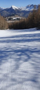 Le printemps et presque l &eacute;t&eacute; 